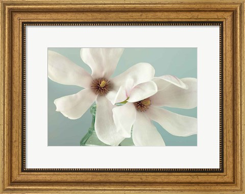 Framed Magnolias Print