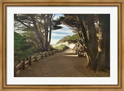 Framed Big Sur Print