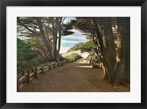 Framed Big Sur Print