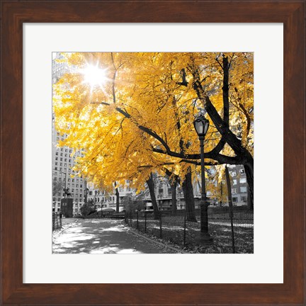 Framed Park Pretty II Print