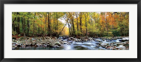 Framed Porters Creek Print