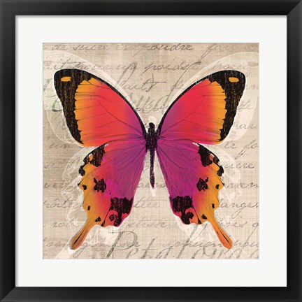 Framed Butterflies III Print