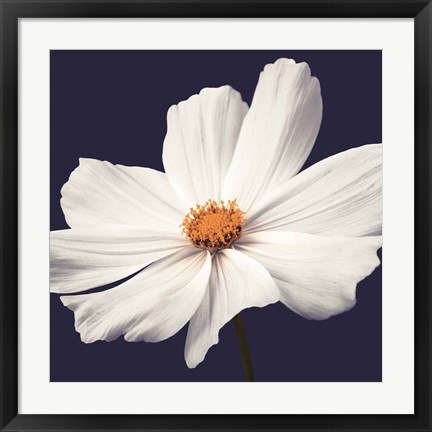 Framed Cosmos II Print