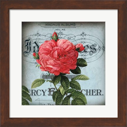 Framed Petite Rose I Print