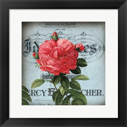 Framed Petite Rose I Print