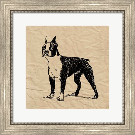 Framed Boston Terrier Print