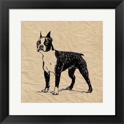 Framed Boston Terrier Print