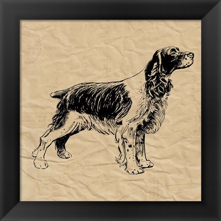 Framed Spaniel Print