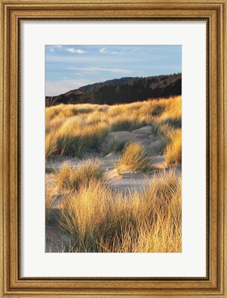 Framed Dune Grass Qnd Beach III Print