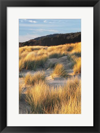 Framed Dune Grass Qnd Beach III Print