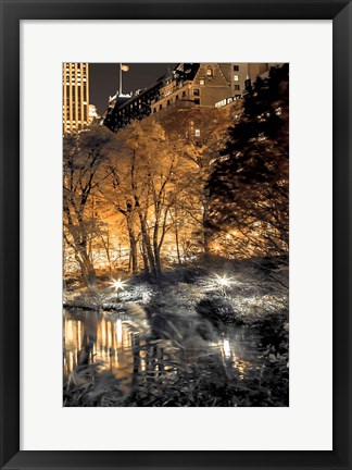 Framed Central Park Glow III Print