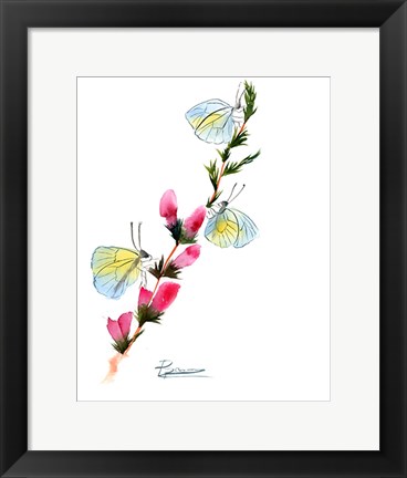 Framed Butterflies Print