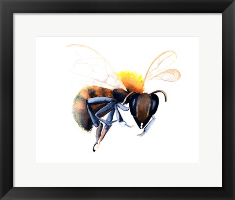 Framed Bee Print