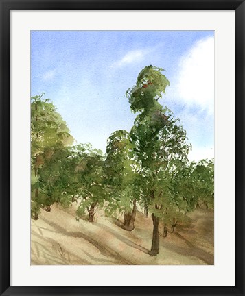 Framed Apple Trees Print