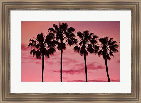 Framed Pink Palms Print