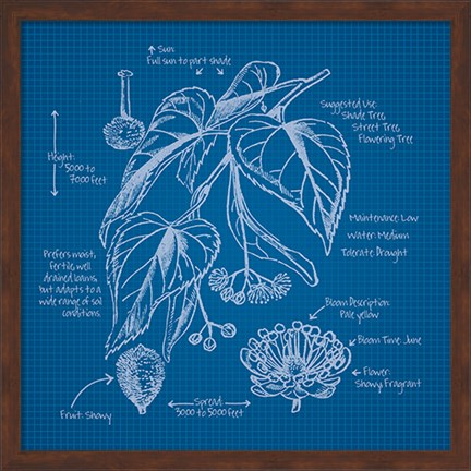 Framed Blueprints II Print