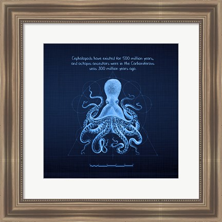 Framed Octoprint II Print