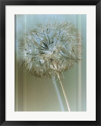 Framed Flaura I Print