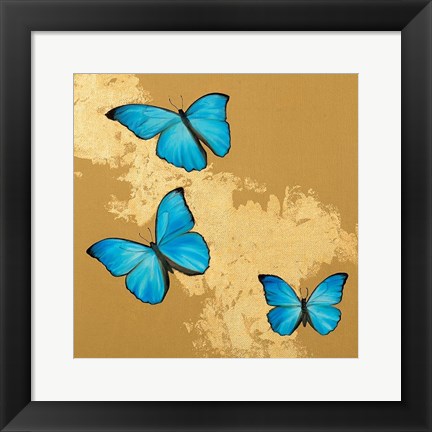 Framed Cerulean Butterfly II Print