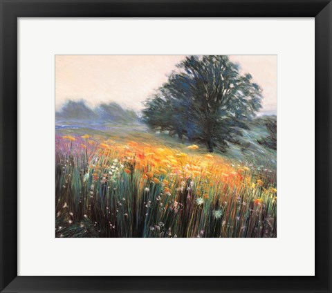 Framed Misty Morning III Print