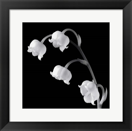 Framed Spring Bells I Print