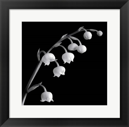 Framed Spring Bells II Print