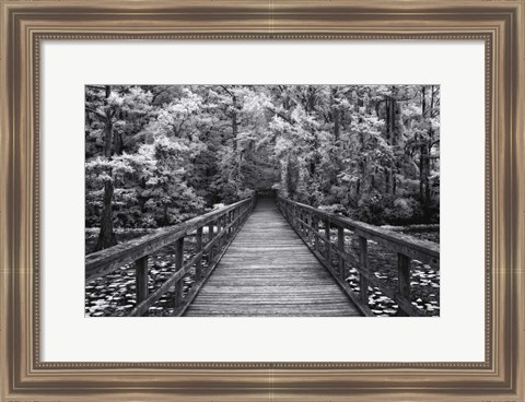 Framed Walk Into Tranquility Print