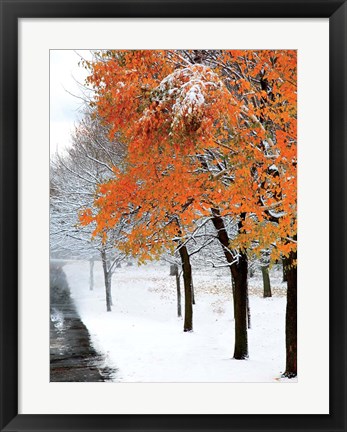 Framed SnowFall III Print