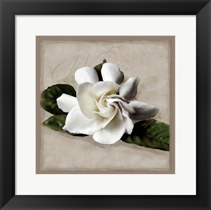 Framed Botanical Gardenia Print