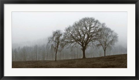 Framed Autumn Fog Print