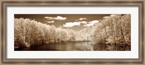 Framed Tranquil Journey Print