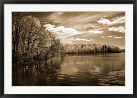 Framed Nature&#39;s Glory Print