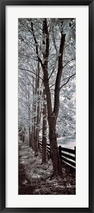 Framed Walk To Remember II Print