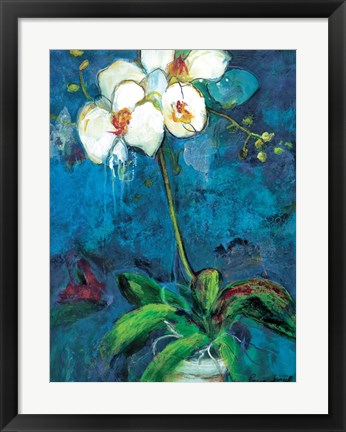 Framed Phalaenopsis I Print