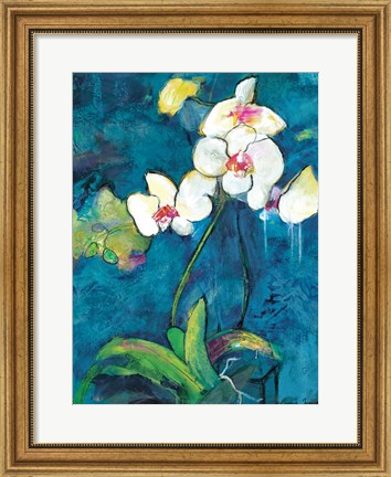 Framed Phalaenopsis II Print