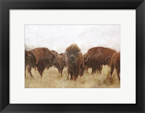 Framed Buffalo Print