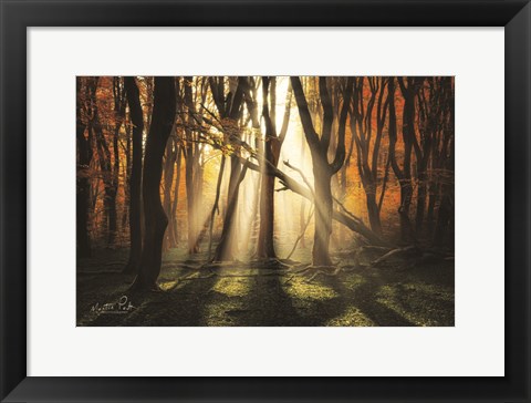 Framed Awakening Print