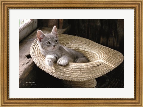 Framed Hat Kitten Print