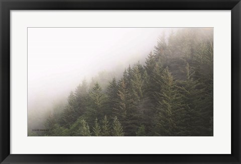 Framed Alaska Green Trees II Print