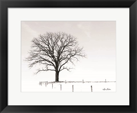 Framed Bare Print