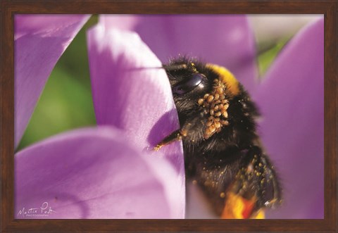 Framed Bee II Print