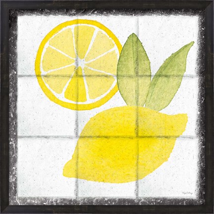 Framed Citrus Tile VI Black Border Print