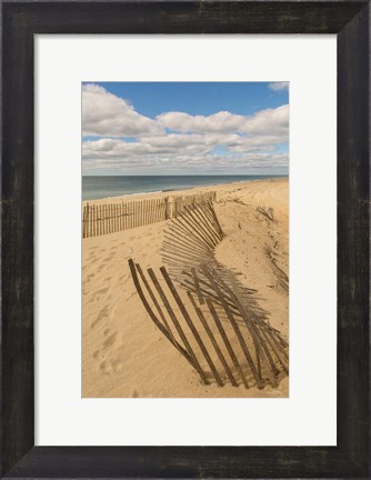 Framed Beach Dunes II Print