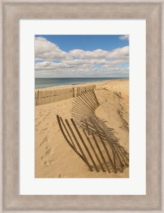 Framed Beach Dunes II Print