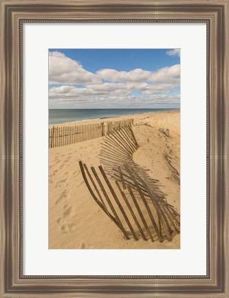 Framed Beach Dunes II Print