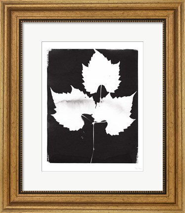 Framed Nature by the Lake Leaves I Black Print