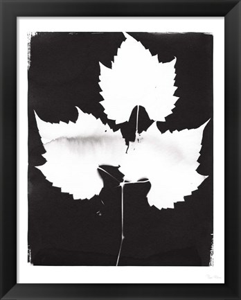 Framed Nature by the Lake Leaves I Black Print