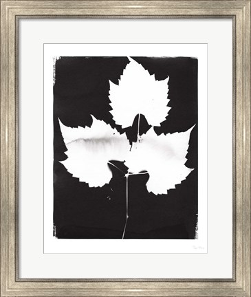 Framed Nature by the Lake Leaves I Black Print