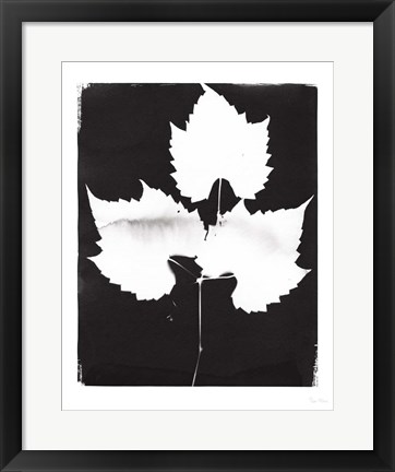 Framed Nature by the Lake Leaves I Black Print