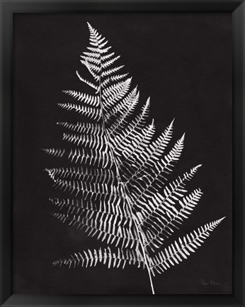 Framed Nature by the Lake Ferns VI Black Crop Print